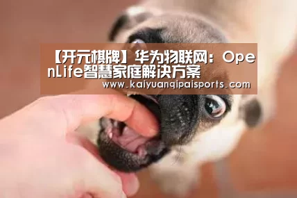 【开元棋牌】华为物联网:OpenLife智慧家庭解决方案(图1) 开元棋牌直播