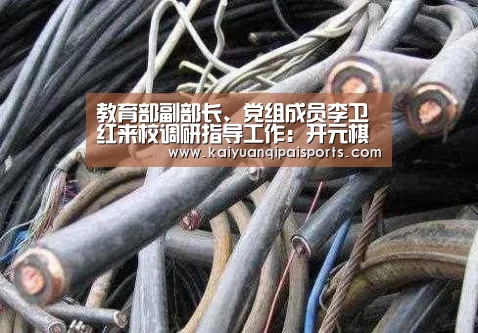 教育部副部长、党组成员李卫红来校调研指导工作:开元棋牌(图1) 开元棋牌