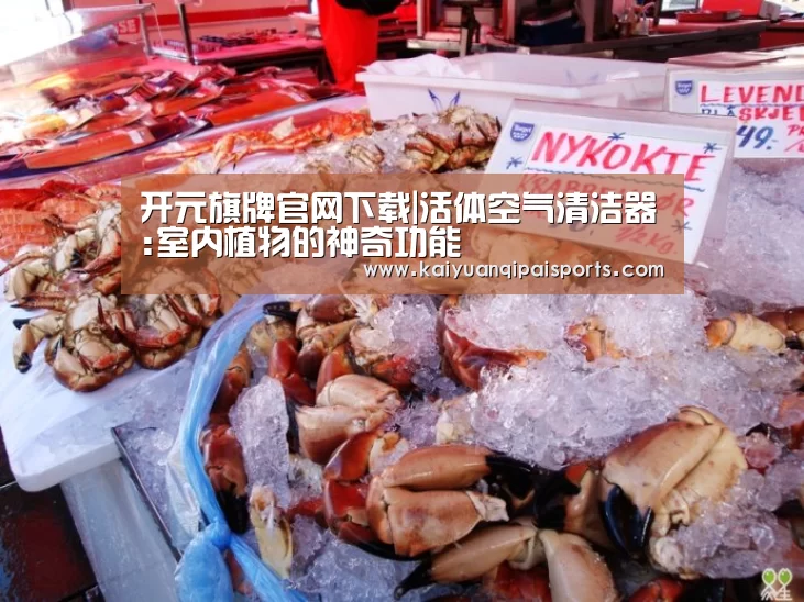 开元旗牌官网下载