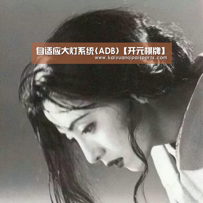 自适应大灯系统(ADB)【开元棋牌】(图1) 开元棋牌