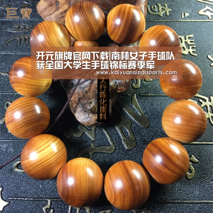 开元旗牌官网下载|南林女子手球队获全国大学生手球锦标赛季军(图1) 开元棋牌直播