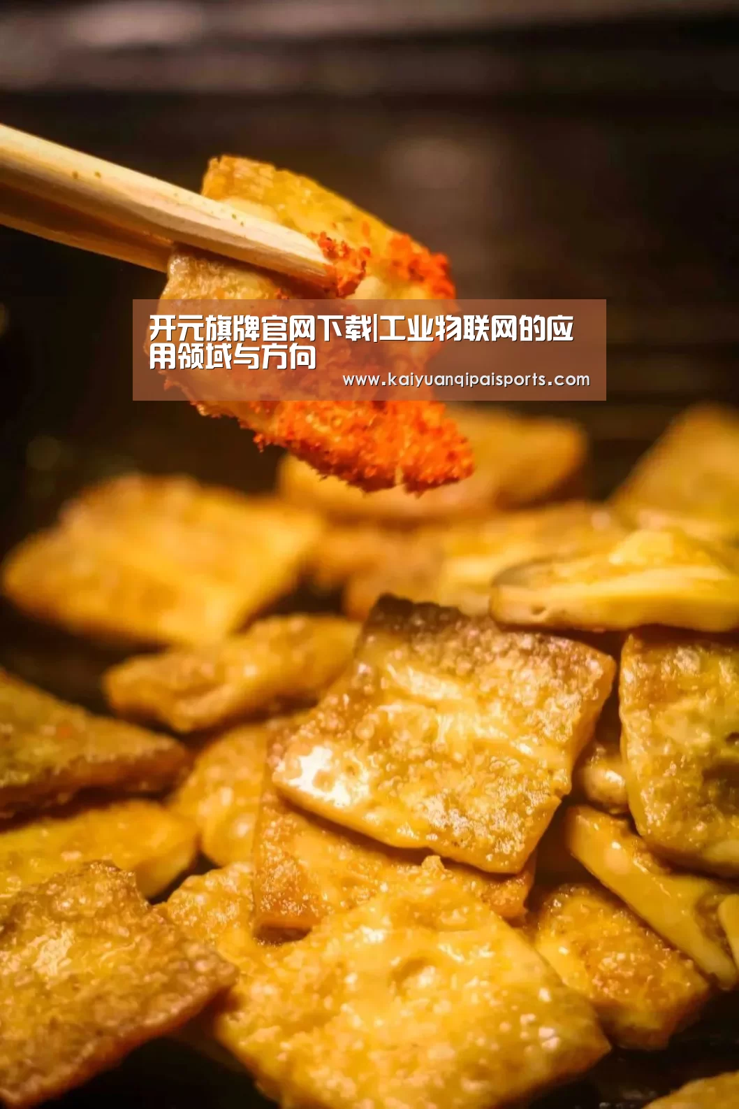 开元旗牌官网下载|工业物联网的应用领域与方向(图3) 开元棋牌官网
